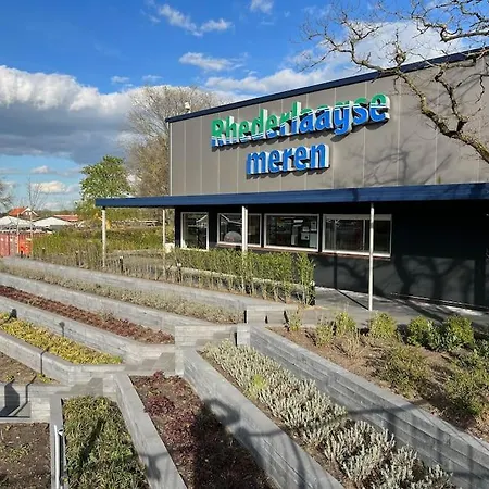 Cube 8 - Neues Im Am Badesee * Lathum